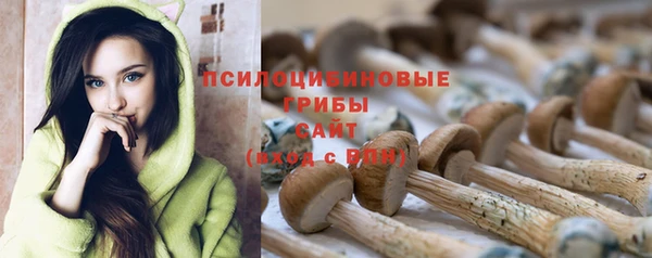 молекула духа Верея