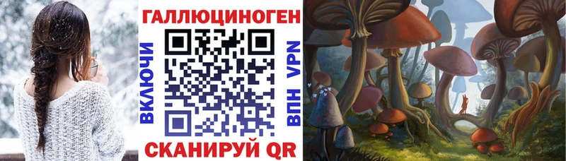 Галлюциногенные грибы мицелий  Высоцк 