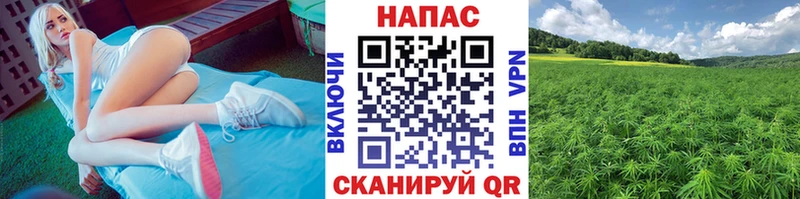 Бошки марихуана конопля Высоцк